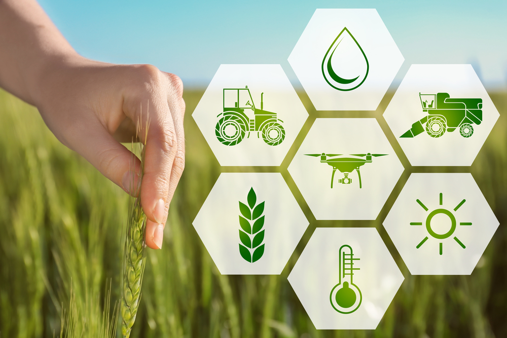 Fondi investimenti innovativi per imprese agricole