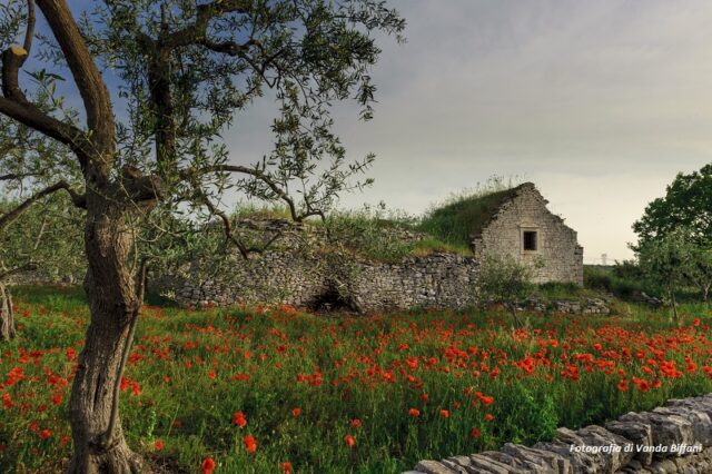 bando architettura rurale