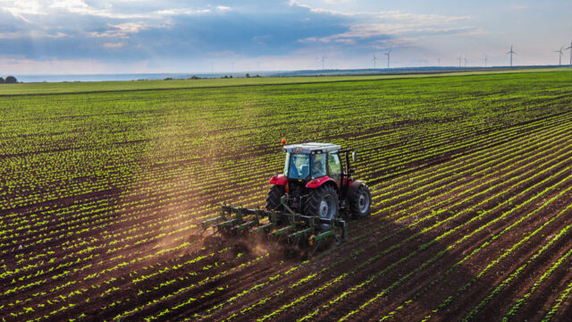fondo imprese agricole innovative