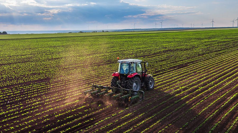 fondo imprese agricole innovative